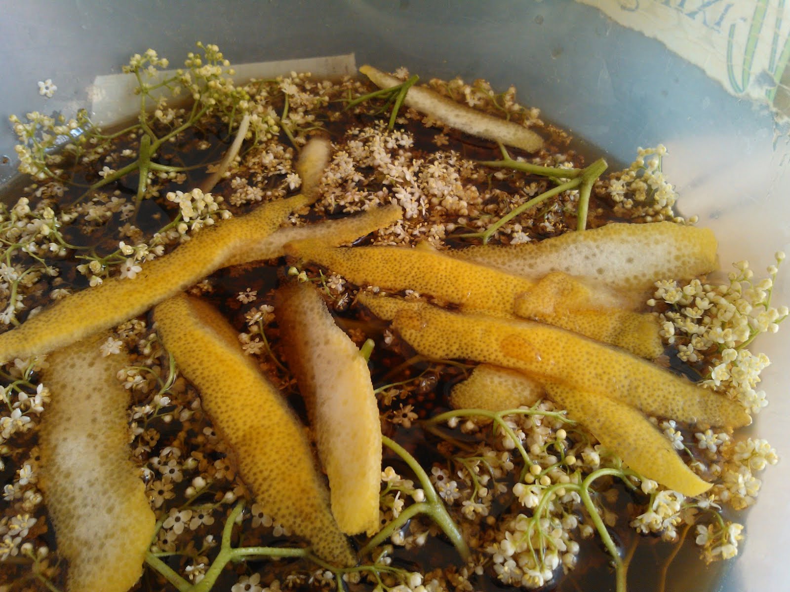 Elderflower